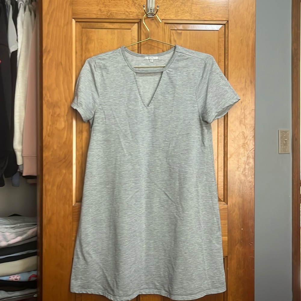 ZSupply grey Tee Dress